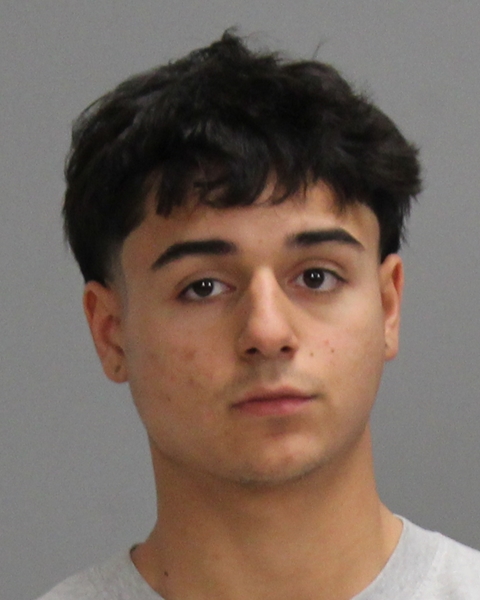 HOLCOMBE, LESSON arrested by Bryan Police Department