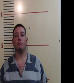 HALSE, MICHAEL WILLIAM booking photo