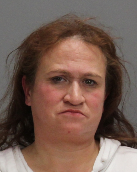 IBARRA, WENDY SUSAN arrested by Bryan Police Department