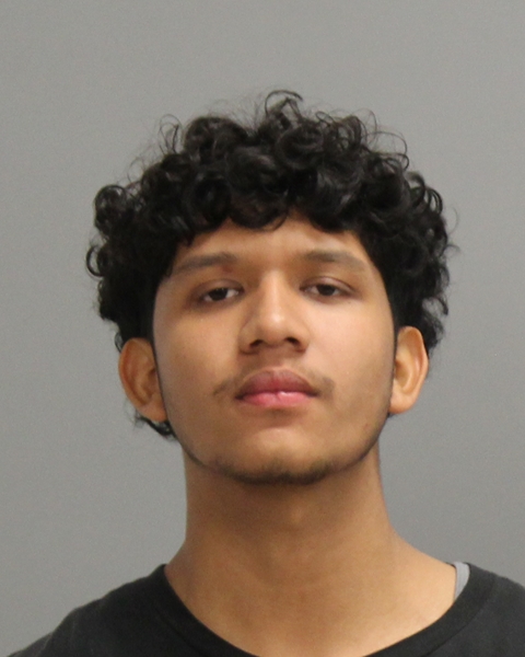 ALVARADO RAMIREZ, JUAN CARLOS arrested by College Station Police Department
