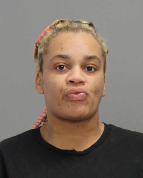 JOHNSON, KORTNEY MARSHAYE arrested by Brazos County Sheriff’s Office