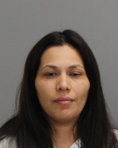 MEDINA, SANDRA DELUNA arrested by Bryan Police Department