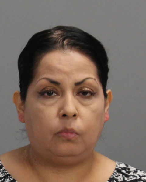 DOMINGUEZ, HILDA ORTIZ booking photo