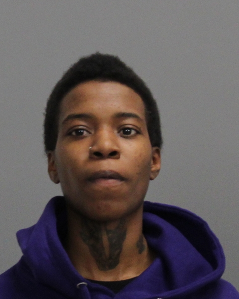 JOHNSON, JASMINE RENEE arrested by College Station Police Department