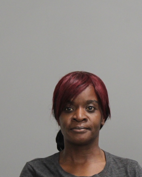 JOHNSON, NAKESHIA SHENALL arrested by Bryan Police Department