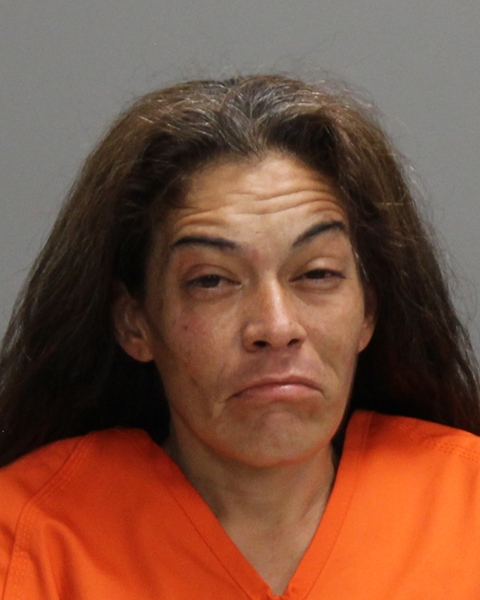 HERNANDEZ, CELIA ELIZABETH arrested by Bryan Police Department