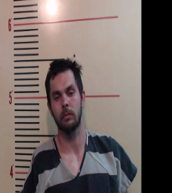 HERRELL, BUDDY RAY booking photo