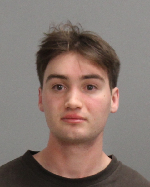 BRAUN-DEPREE, NOAH THOMAS booking photo