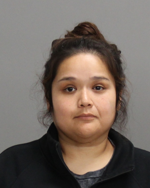 GALLEGOS, PRISCILLA MARIE booking photo