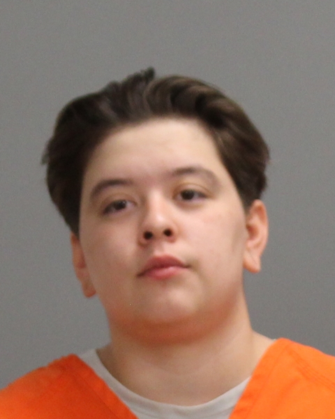 GOMEZ, ALICIA JEAN arrested by Bryan Police Department