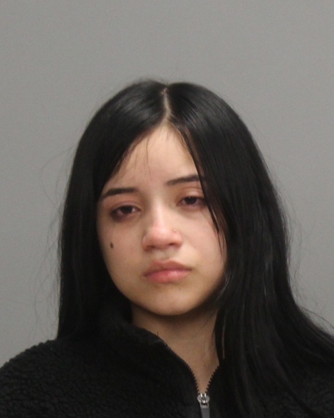 GARCIA AGUILAR, CHELSI DANARI arrested by Bryan Police Department