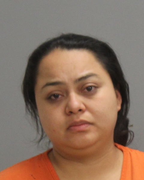 HERNANDEZ, SARALLI arrested by Bryan Police Department