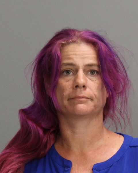 FISHER, CRYSTAL BERNICE arrested by Bryan Police Department