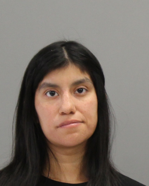 Herrera, Reagan Elizabeth arrested by Bryan City Marshall