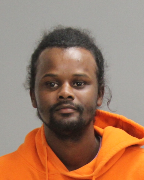 ALI, ABDI IBRHIM arrested by Bryan Police Department