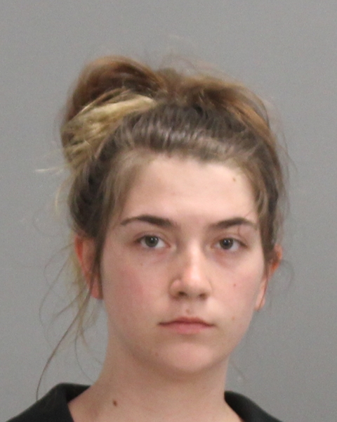 ADAMOLI, BRIANNA RAE arrested by Department of Public Safety