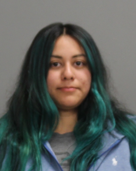 HERNANDEZ, ALEIDA MARTINEZ arrested by Bryan Police Department