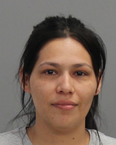 MEDINA, SANDRA DELUNA arrested by Bryan Police Department