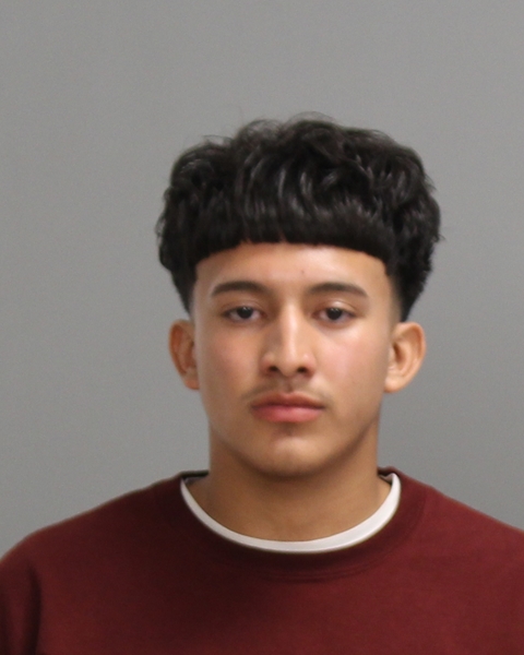 DELGADO, WILLIAM MICHAEL booking photo