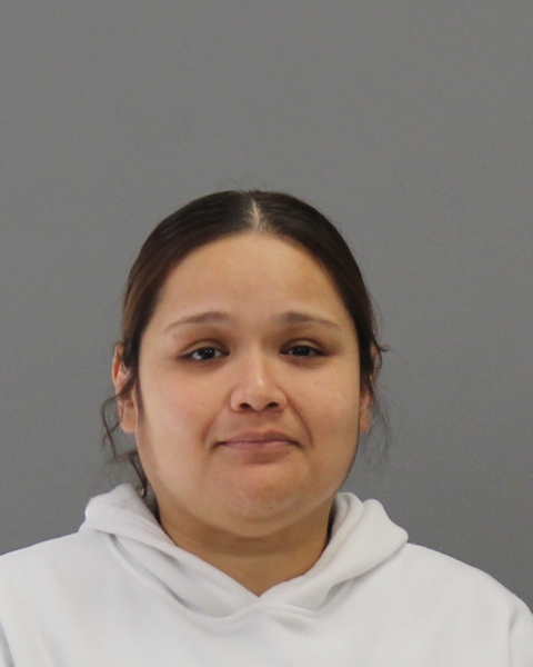 GALLEGOS, PRISCILLA MARIE arrested by Brazos County Sheriff’s Office