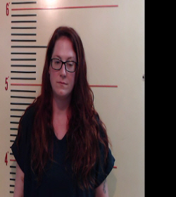 Harris, Sara Michelle booking photo