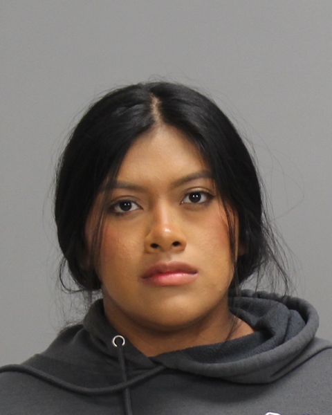 ALVARADO, EMELY BALVINA arrested by Brazos County Sheriff’s Office