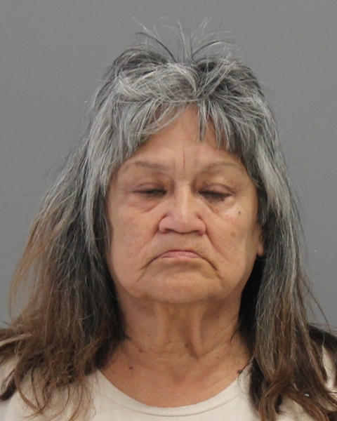 VILLAREAL, DIANA DELON arrested by Bryan Police Department