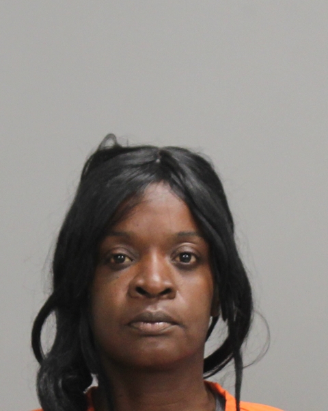 JOHNSON, NAKESHIA SHENALL arrested by Bryan Police Department