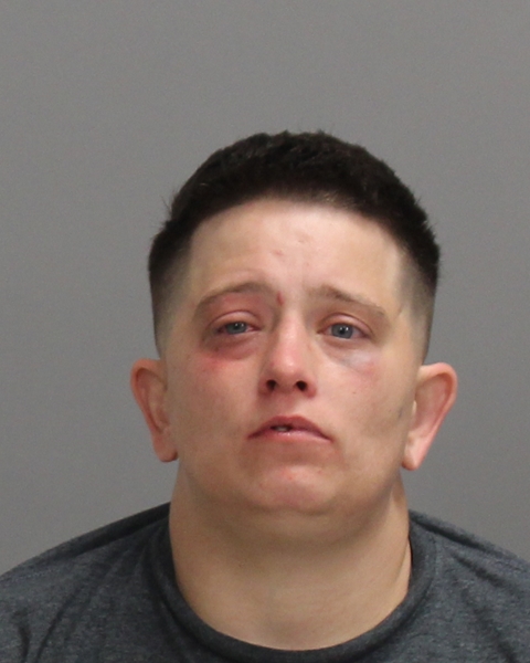 FRANEK, KAYLA NICOLE arrested by College Station Police Department