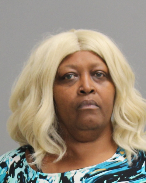 HAYES, JOHNSAH ELNETTA MOORTE arrested by Bryan Police Department