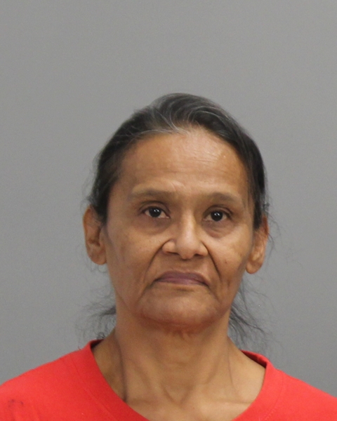 DIAZ, FRANCES arrested by Bryan Police Department