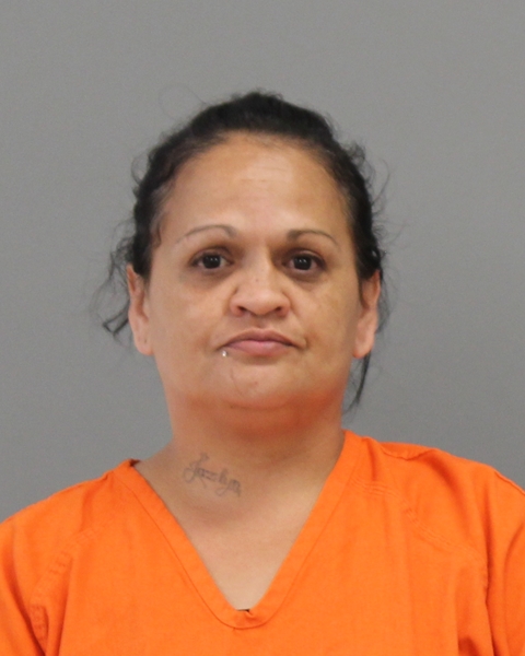 GUTIERREZ, GINA LEE arrested by Bryan Police Department