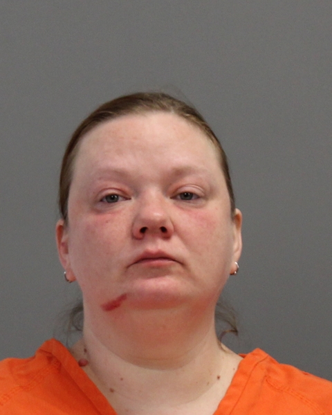 FRITZ, AMBER KRISTINE arrested by College Station Police Department