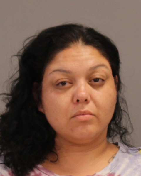 CASTILLO, VICENTA MARIANA arrested by Bryan Police Department
