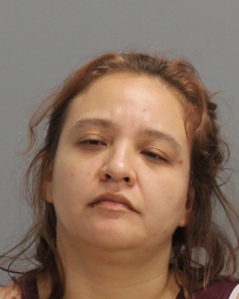Bernal, Alexis Marie booking photo