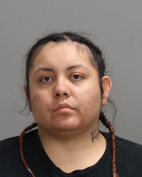 Gonzalez, Gloria Guadalupe arrested by Brazos County Sheriff’s Office