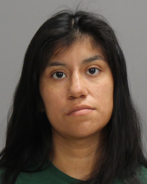 Herrera, Reagan Elizabeth arrested by Brazos County Sheriff’s Office