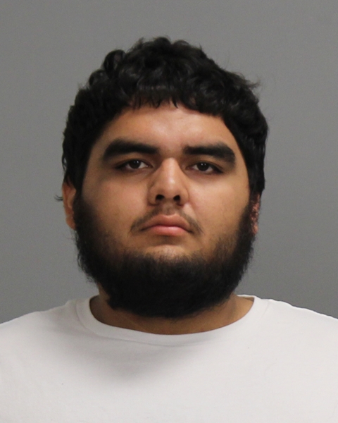 IBANEZ-SOTELO, MARIO ALBERTO arrested by Bryan Police Department