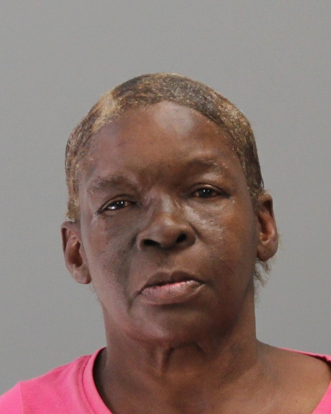LIVINGSTON, CAROLYN DENISE arrested by Bryan City Marshall