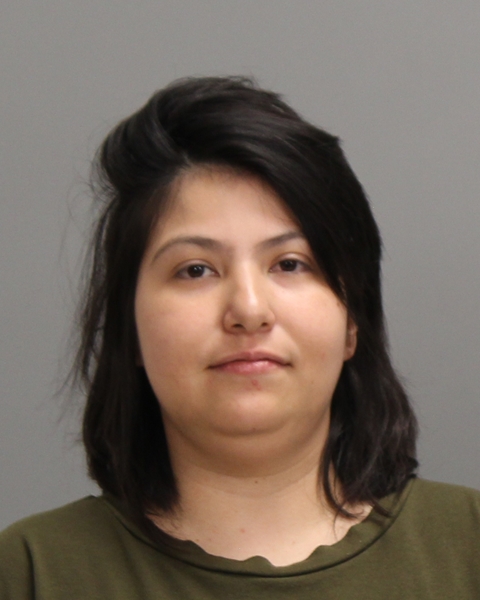 CRUZ, LAURA ROMERO arrested by Bryan Police Department