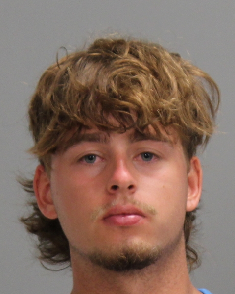 BOYD, GAVIN ANTHONY booking photo