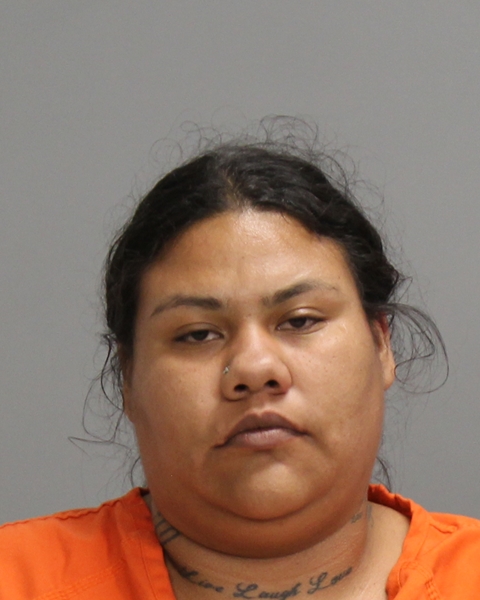 ARENAS, ALICE MARIE arrested by Bryan Police Department