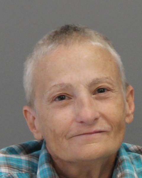 JOHNSON, LINDA KAY arrested by Brazos County Sheriff’s Office