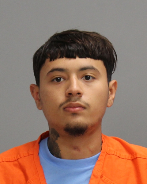 Hernandez, Julian arrested by College Station Police Department