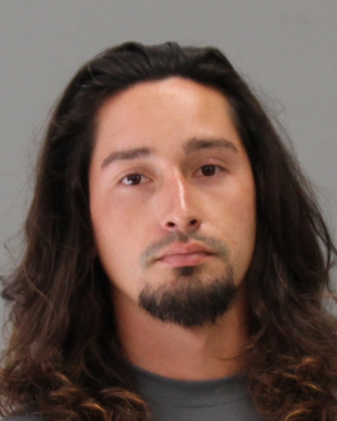 BRADY, PARKER DARWIN booking photo