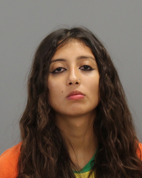 HERNANDEZ, AISLINN MARIELL arrested by College Station Police Department