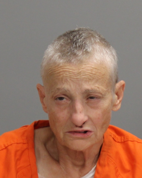 JOHNSON, LINDA KAY arrested by Bryan Police Department