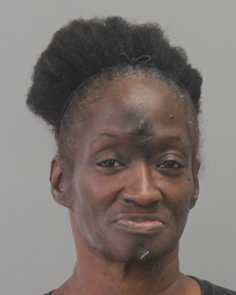 HAWKINS, THERESA arrested by Bryan Police Department