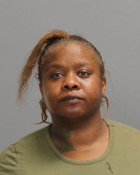 JOHNSON, ANTAVIA LARESE arrested by Bryan Police Department