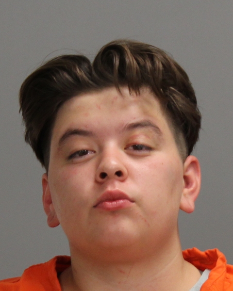 GOMEZ, ALICIA JEAN arrested by Bryan Police Department